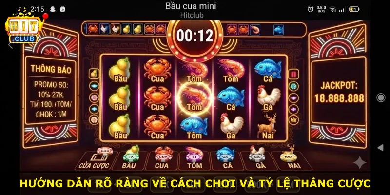 Hướng dẫn rõ ràng về cách chơi và tỷ lệ thắng cược