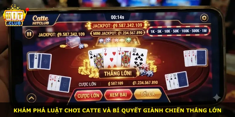 Khám phá luật chơi Catte và bí quyết giành chiến thắng lớn